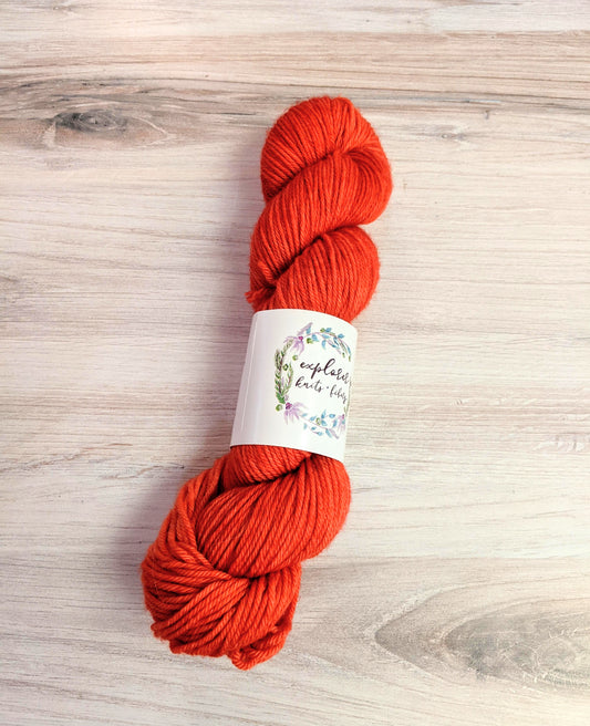 Explorer Knits & Fibers - Carlsbad Worsted - YAKI